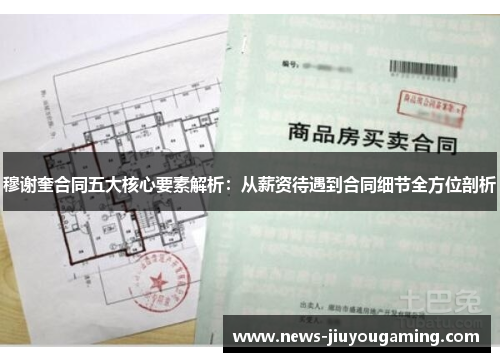 穆谢奎合同五大核心要素解析：从薪资待遇到合同细节全方位剖析