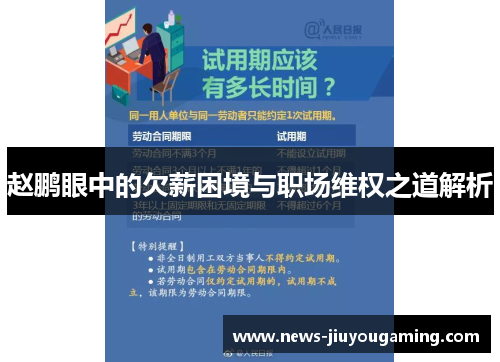 赵鹏眼中的欠薪困境与职场维权之道解析