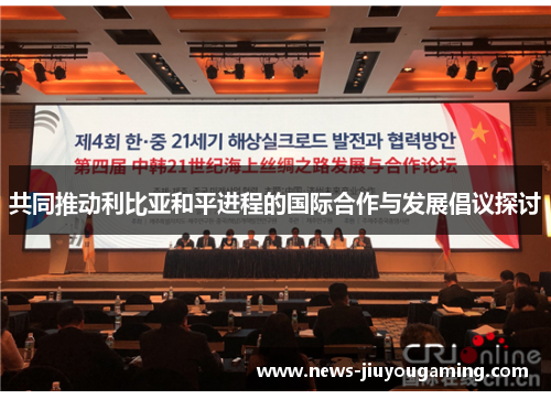 共同推动利比亚和平进程的国际合作与发展倡议探讨
